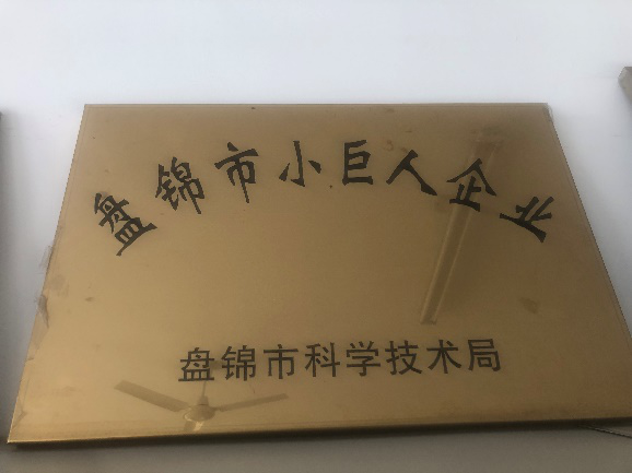 盘锦市幼巨人企业奖牌.png 盘锦市幼巨人企业奖牌.png